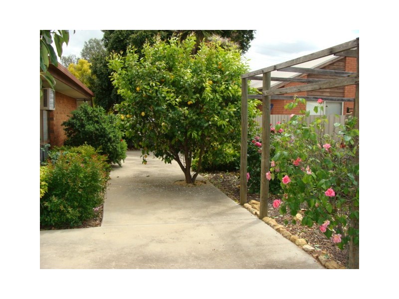 14 Elizabeth Street, Echuca VIC 3564