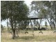 320-323 Carroll Road, Echuca VIC 3564