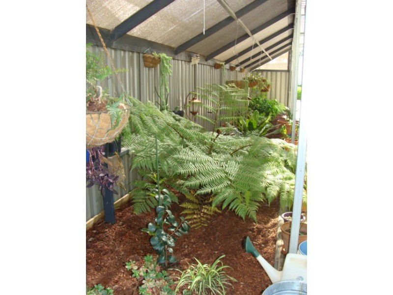 25 Swan Boulevard, Moama NSW 2731