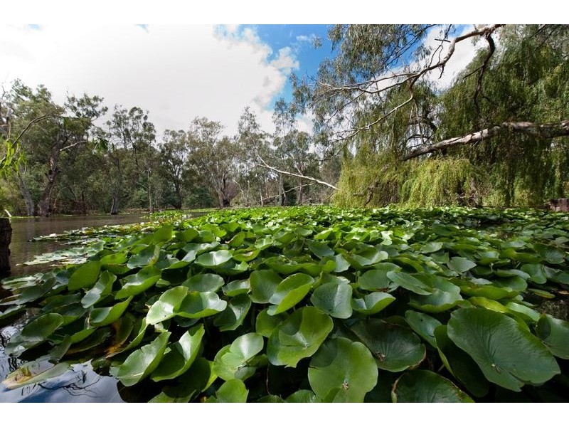 216 Wharparilla Drive, Echuca VIC 3564
