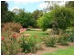 208 Wharparilla Drive, Echuca VIC 3564