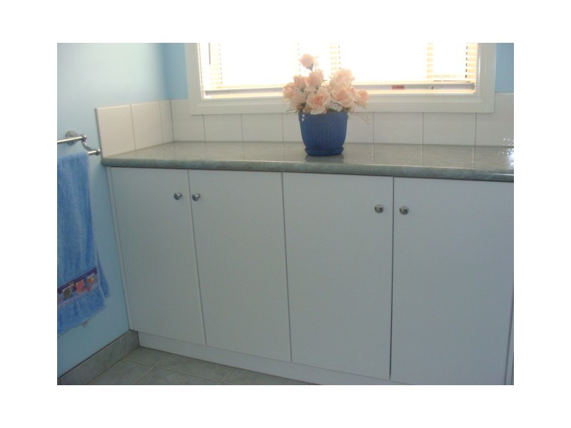 19 Swan Boulevard Cobb Haven, Moama NSW 2731