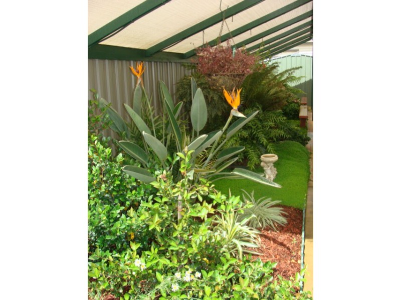 19 Swan Boulevard Cobb Haven, Moama NSW 2731