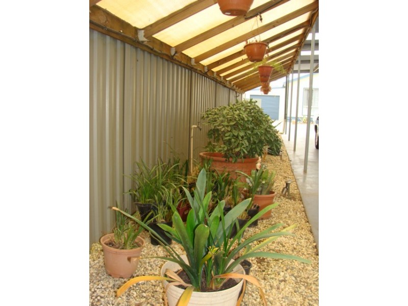 26 Swan Boulevard, Moama NSW 2731