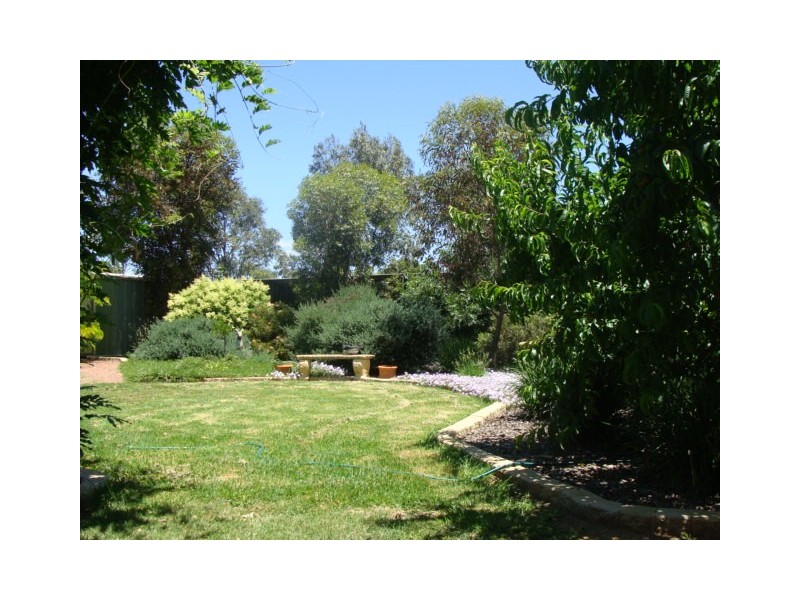 31 Aberdeen Way, Moama NSW 2731