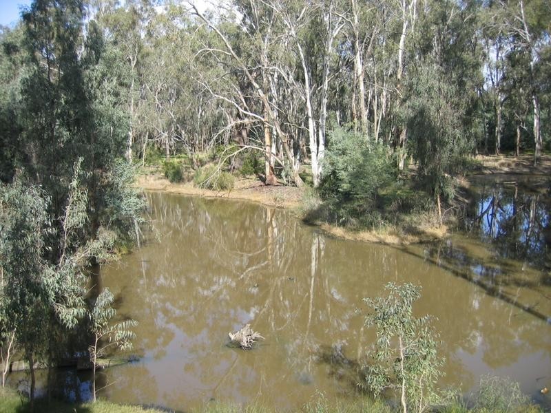 5 Berry Street, Moama NSW 2731