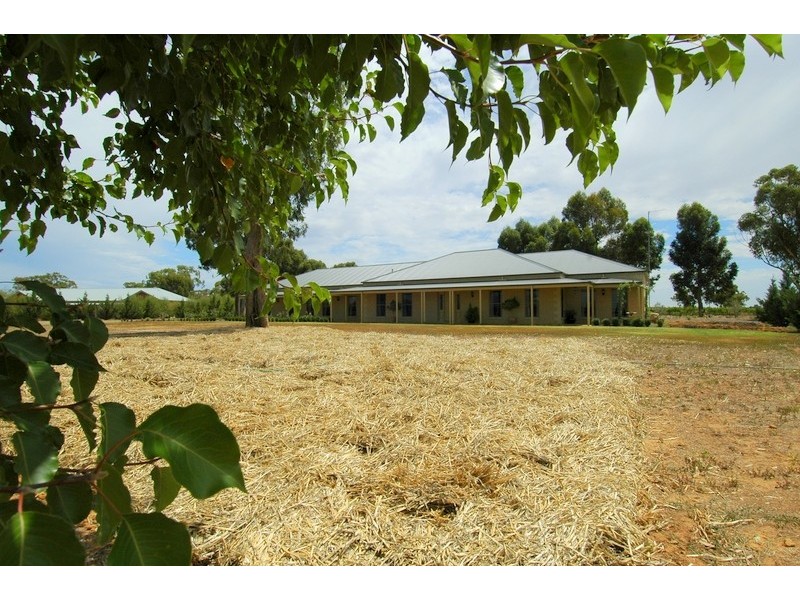 20 Hollara Drive, Moama NSW 2731