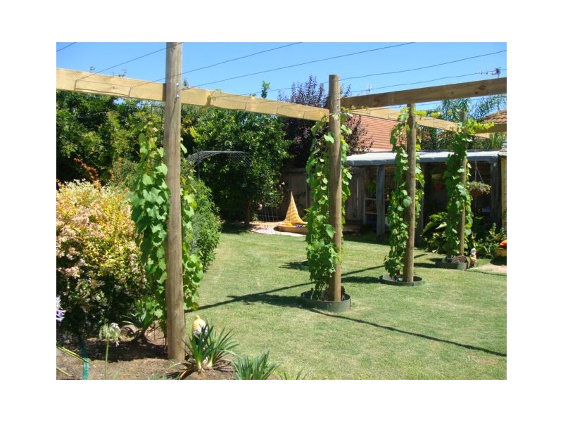 73 Hume Street, Echuca VIC 3564