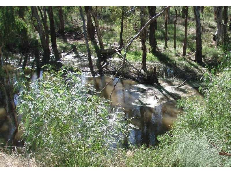 50 Moama Street, Mathoura NSW 2710