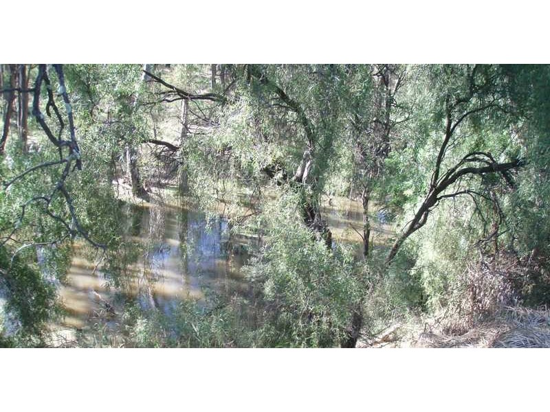 50 Moama Street, Mathoura NSW 2710