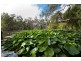 208 Wharparilla Drive, Echuca VIC 3564