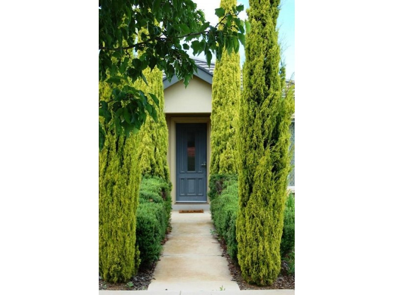 9 Park Avenue, Echuca VIC 3564