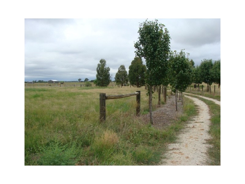 216 Tandarra Road, Moama NSW 2731