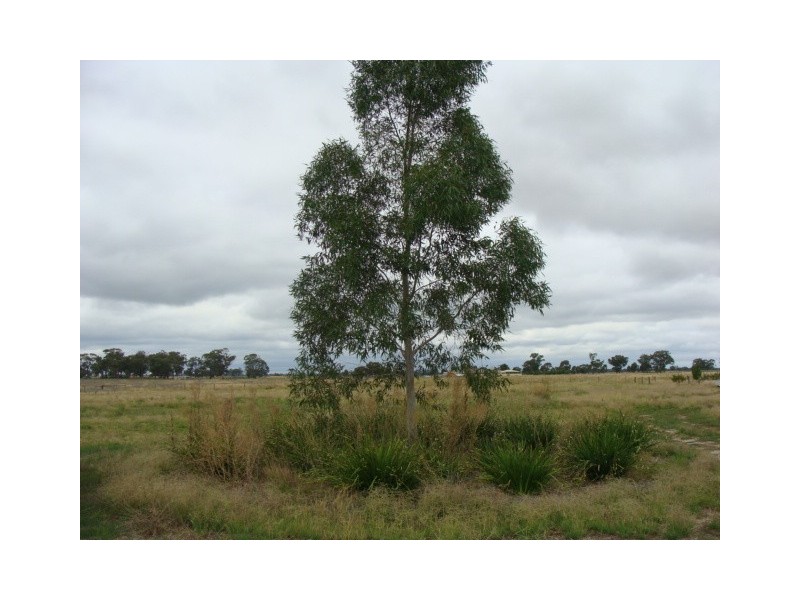 216 Tandarra Road, Moama NSW 2731
