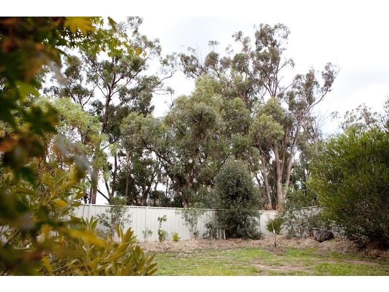 61 Shetland Drive, Moama NSW 2731