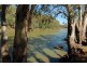 01 Perricoota Road, Moama NSW 2731