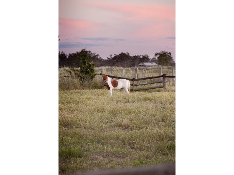 458a Mitchell Road, Echuca Village VIC 3564