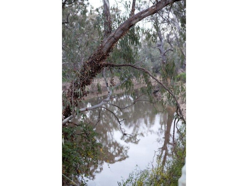 301 Anstruther Street, Echuca VIC 3564