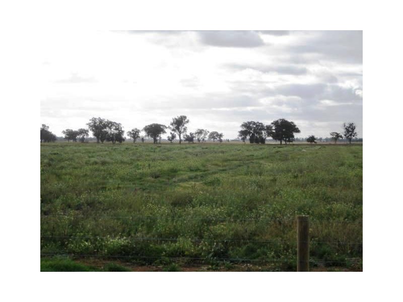 Lot 4, 00 Acacia Place, Moama NSW 2731