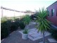 12 Willicent Terrace, Echuca VIC 3564