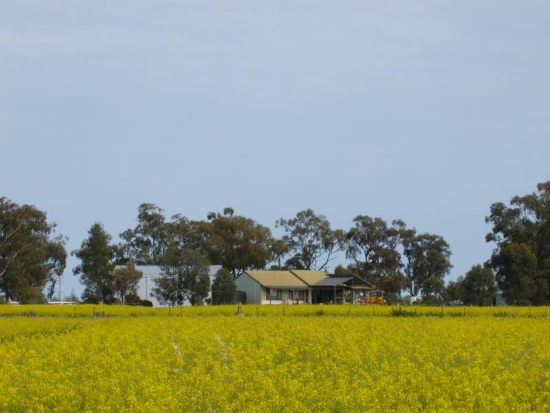 01 Crump Road, Mathoura NSW 2710