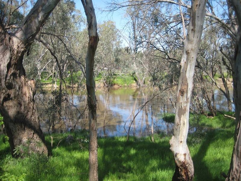 60 Campaspe Esplanade, Echuca VIC 3564