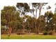 17 Charters Drive, Moama NSW 2731
