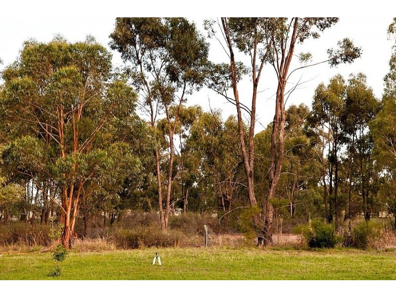 17 Charters Drive, Moama NSW 2731