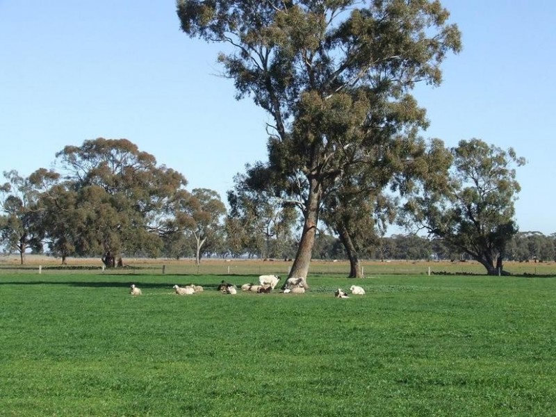 1 Caloola Road, Moama NSW 2731