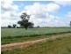 1 Caloola Road, Moama NSW 2731