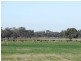 1 Caloola Road, Moama NSW 2731