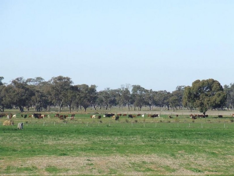 1 Caloola Road, Moama NSW 2731