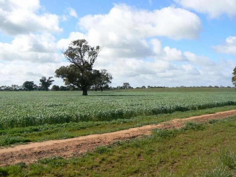 1a Caloola Road, Moama NSW 2731