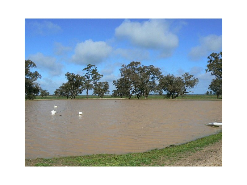 1a Caloola Road, Moama NSW 2731