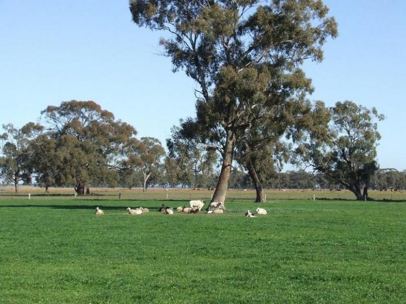 1a Caloola Road, Moama NSW 2731