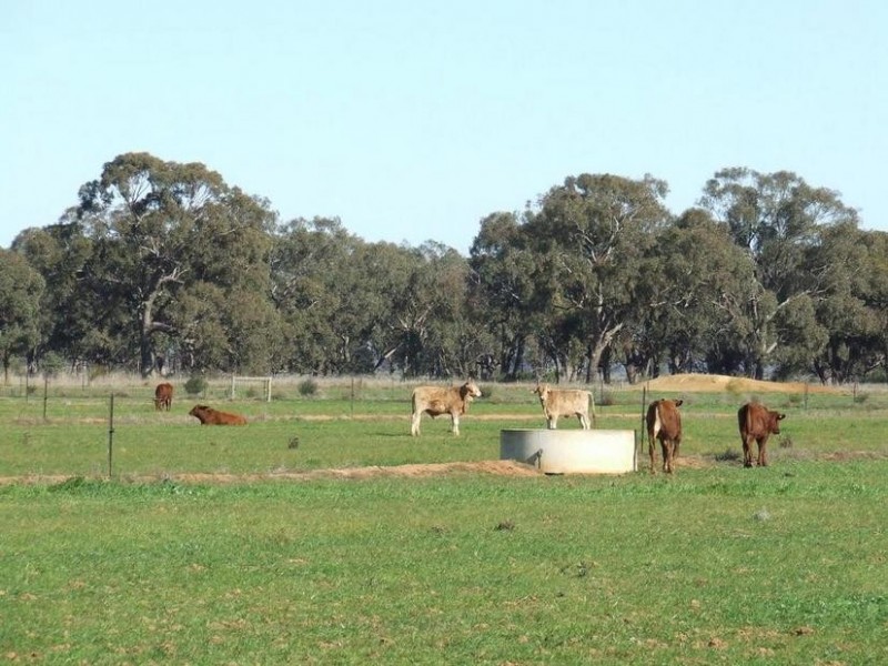 1a Caloola Road, Moama NSW 2731