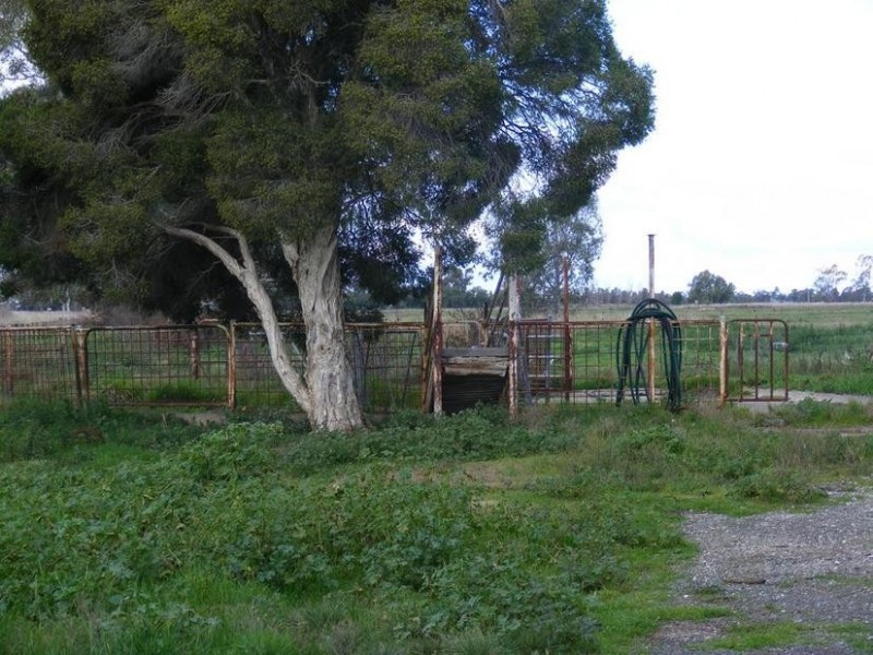 2240 Mc Kenzie Road, Tongala VIC 3621