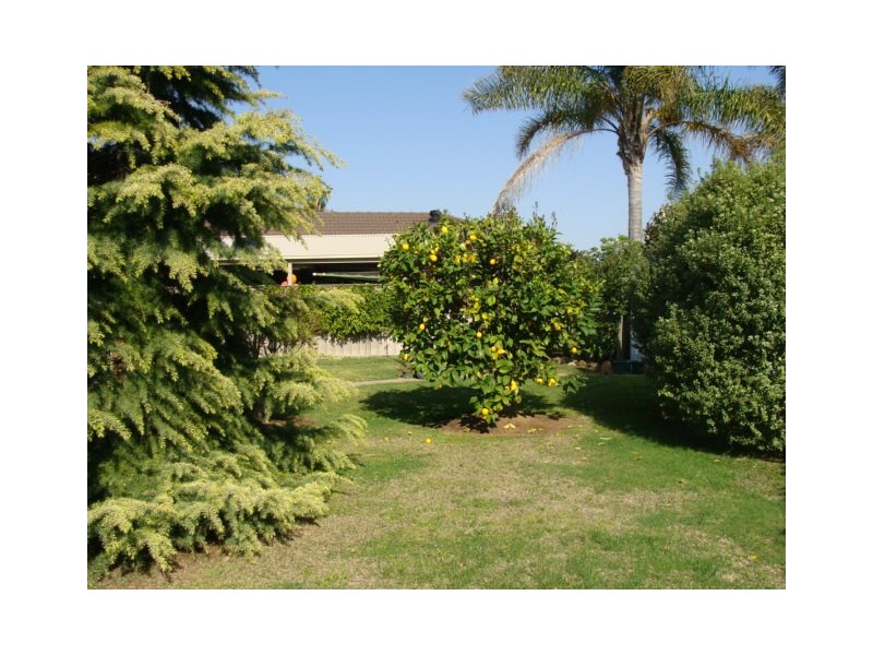 10 McIntyre Crescent, Echuca VIC 3564