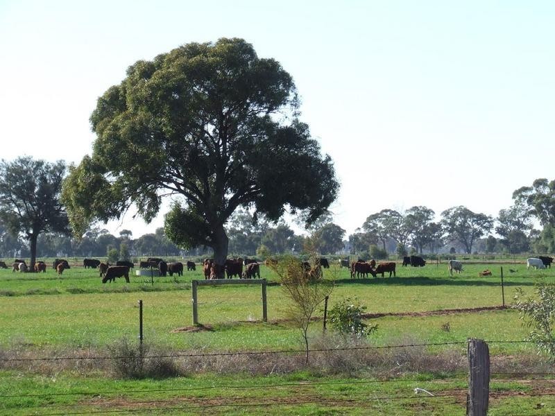 1 Caloola Road Moama, Moama NSW 2731