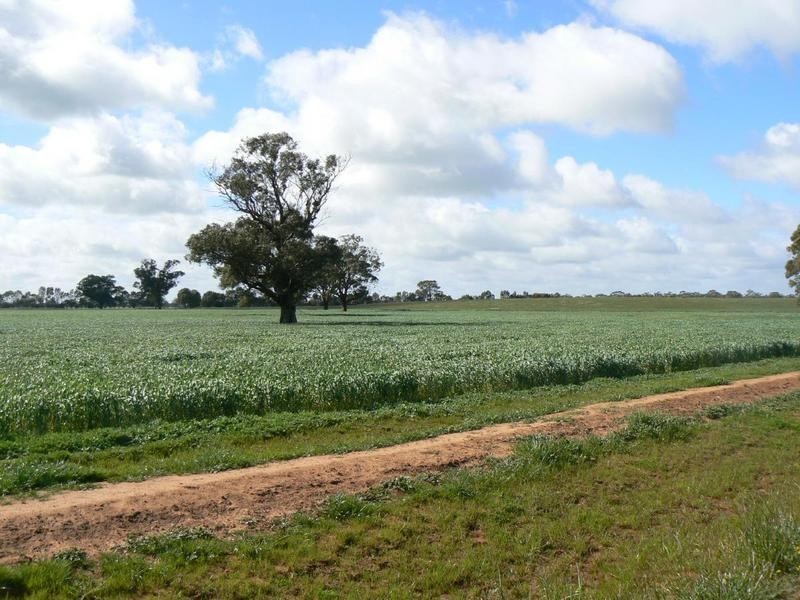 1 Caloola Road Moama, Moama NSW 2731