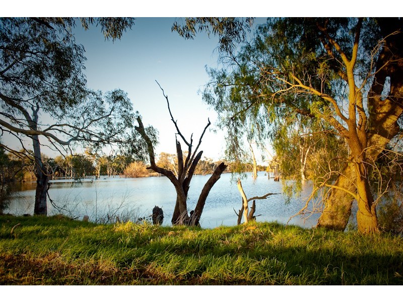 258 Patho School Road, Patho VIC 3564