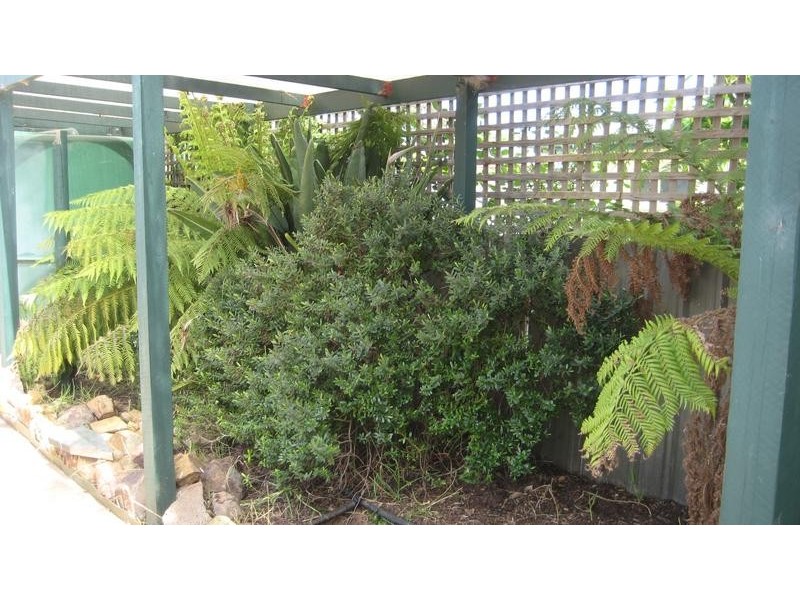 17 Iluka Avenue, Moama NSW 2731