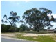 44 Mathoura Street, Mathoura NSW 2710