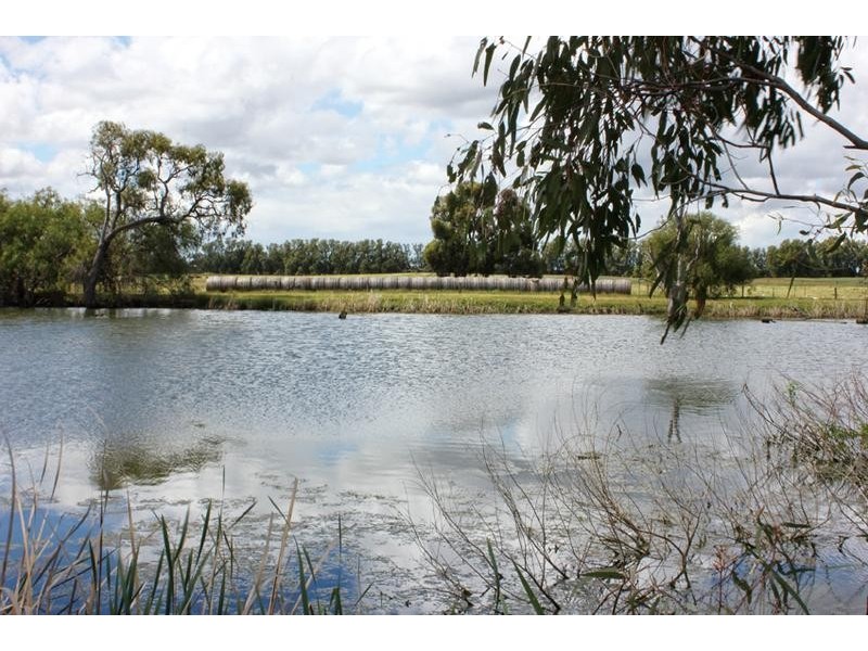 173 School Road, Patho VIC 3564