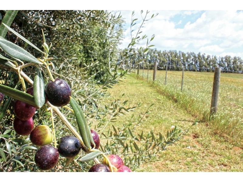 173 School Road, Patho VIC 3564