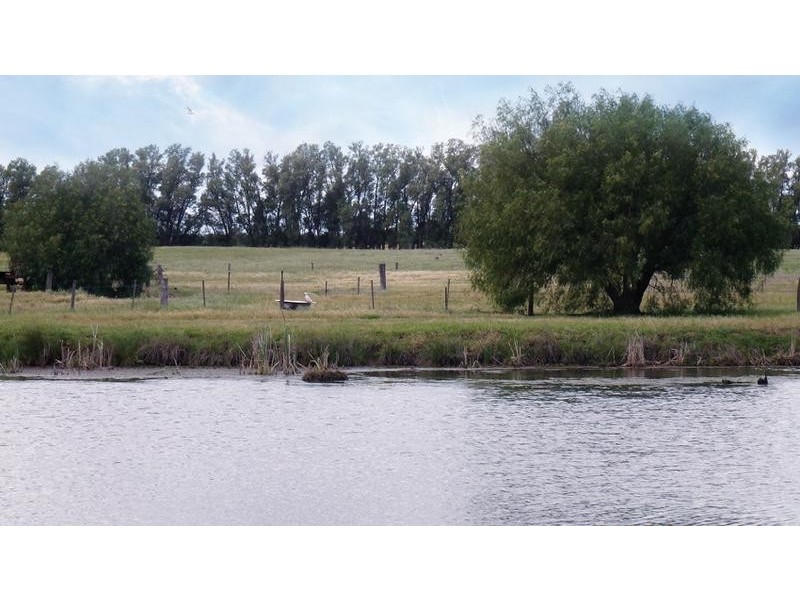 173 School Road, Patho VIC 3564