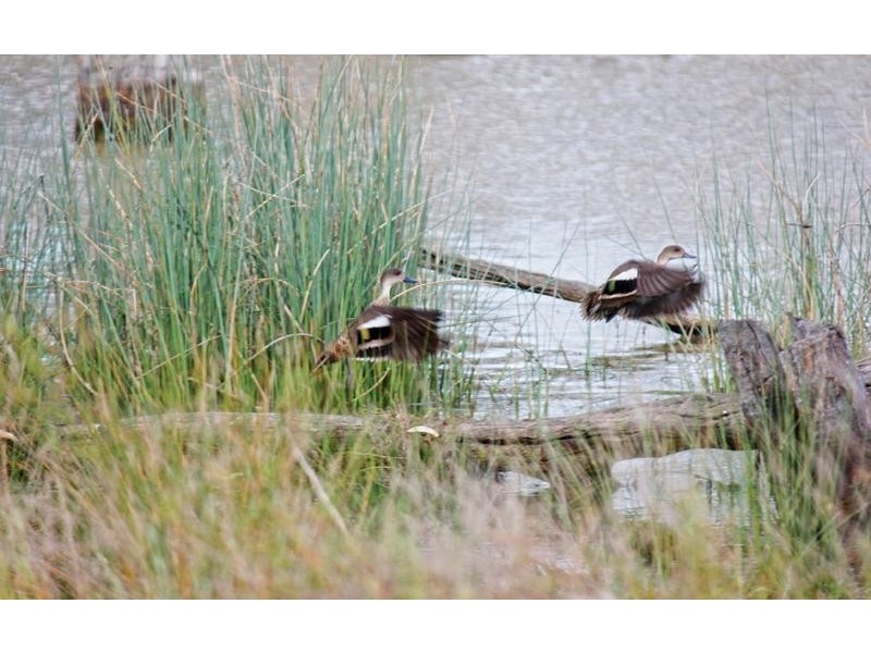 173 School Road, Patho VIC 3564