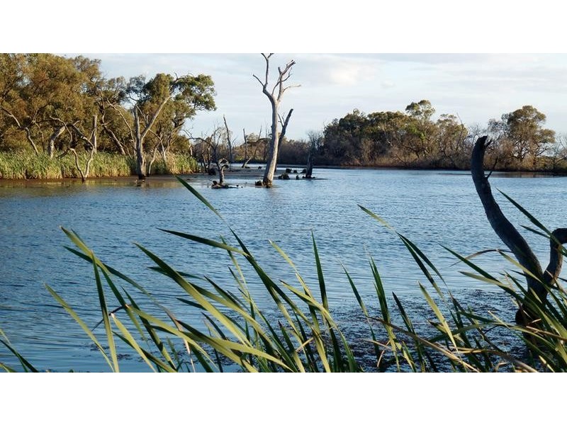 173 School Road, Patho VIC 3564