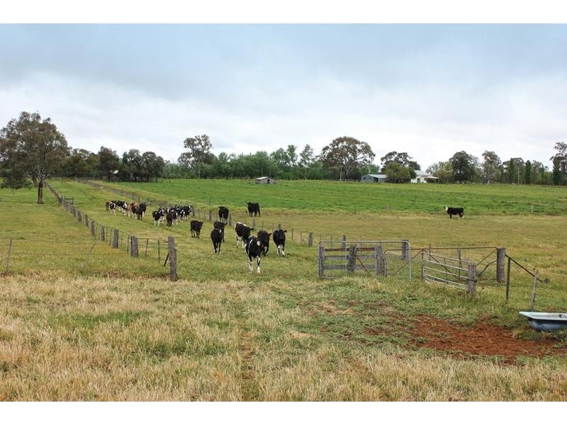 126a School Road, Echuca VIC 3564