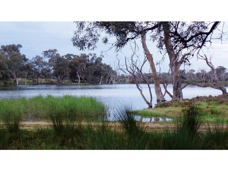 126a School Road, Echuca VIC 3564